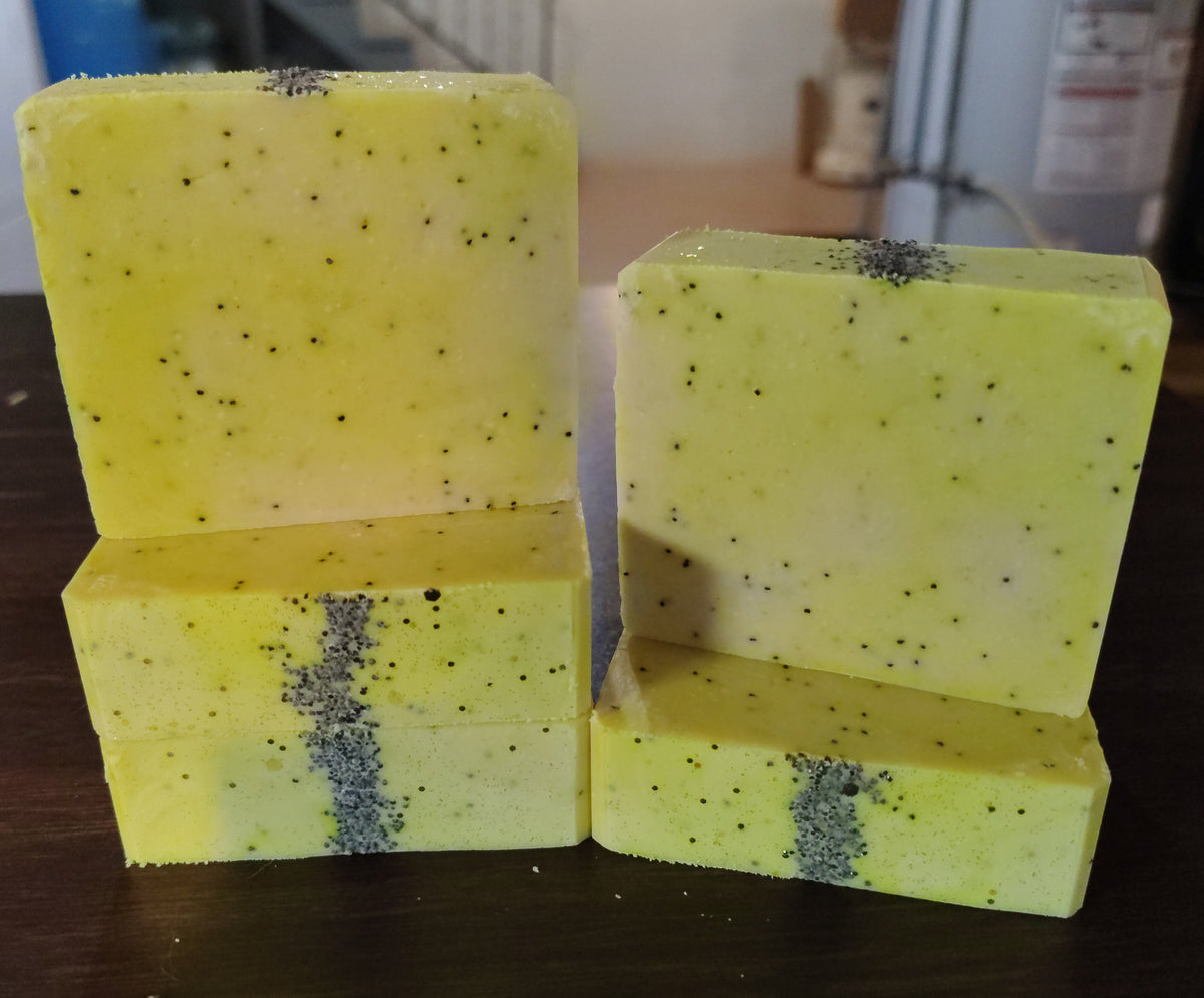 Lemon Poppyseed | Goat's Milk + Tallow Soap