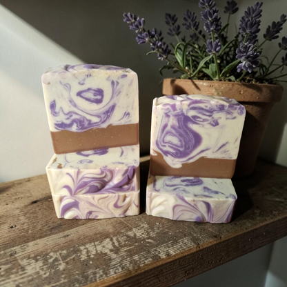Lavender Chocolate | Goat's Milk + Tallow Soap