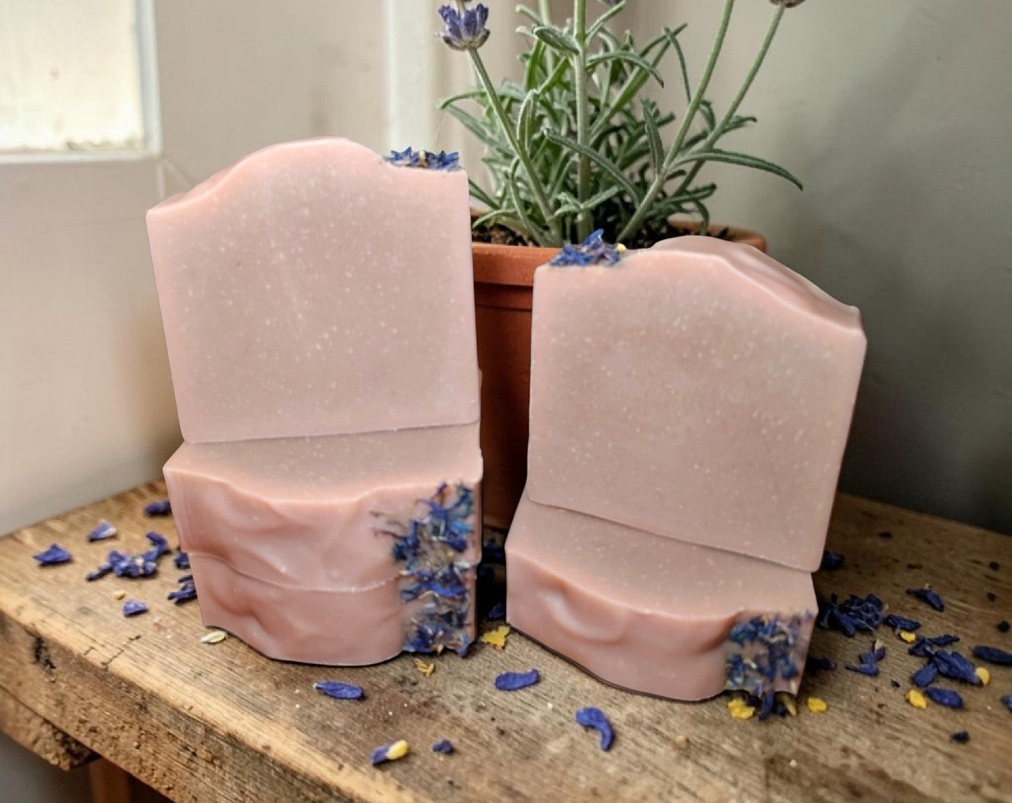 Violet Citrus | Essential Oils, Tallow + Goat's Milk Soap