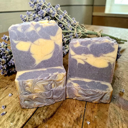 Lavender Honey | Goat's Milk + Tallow Soap